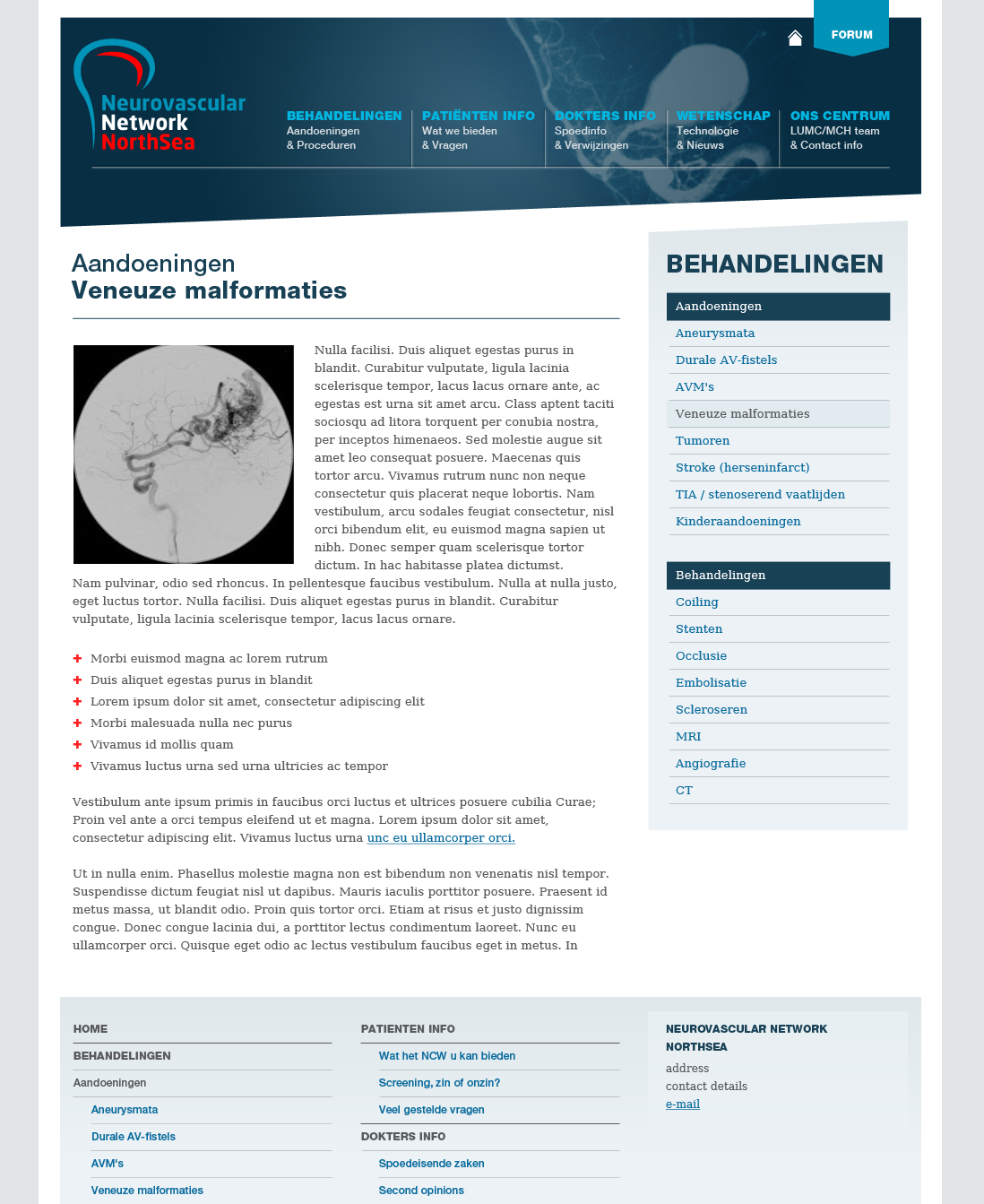Neurovascular Network Northsea, NL